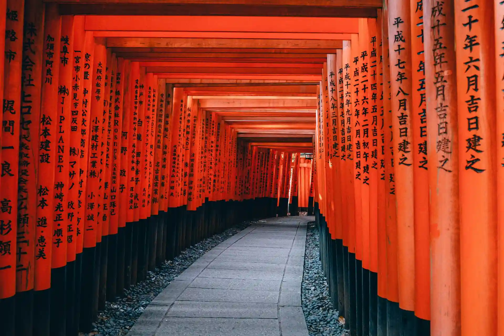 Total Cost to Study in Japan from Nepal | Full Guide