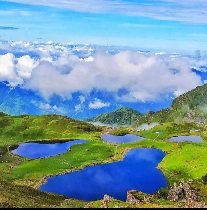 Admission in Japanese Language School Counselling Services